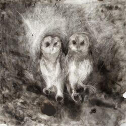 The Owl Sanctuary Giclee Print
